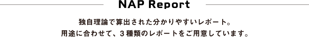 NAP Report 独自理論で算出された分かりやすいレポート。用途に合わせて、3種類のレポートをご用意しています。
